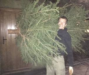 Luke with Christmas tree at door