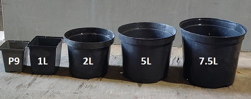 Plant Container Sizes