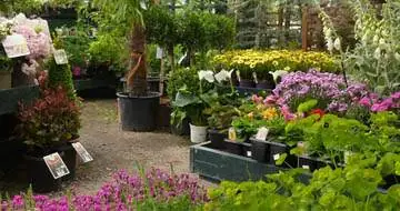 Staffordshire Garden Centre