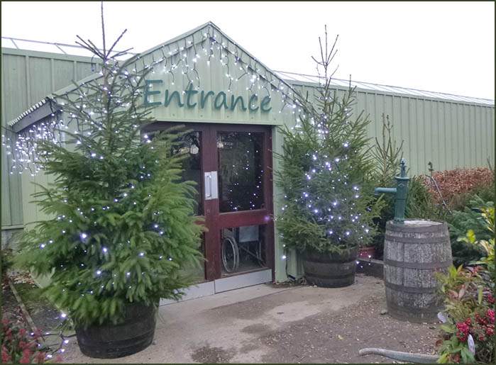 Garden Centre at Christmas Jacksons Nurseries Staffordshire