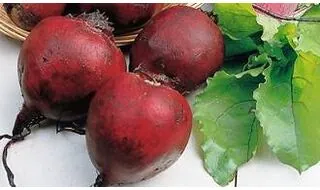 Beetroot Seeds