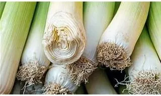 Leek Seeds