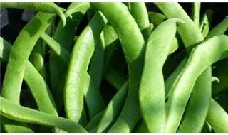 Runner Bean Seeds