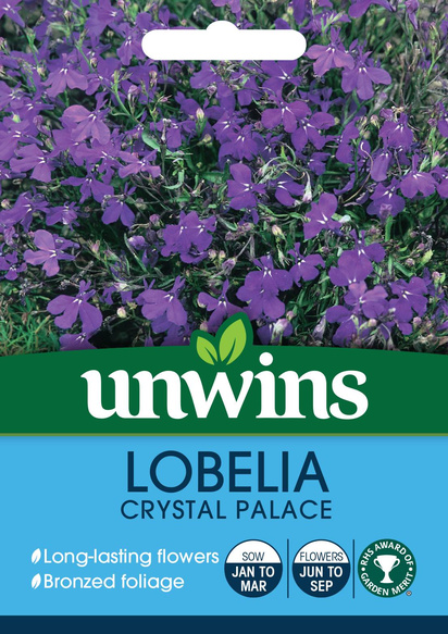 Lobelia Crystal Palace Flower Seeds (Unwins) - Jackson's Nurseries